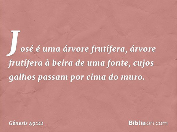 José é uma árvore frutífera,
árvore frutífera à beira de uma fonte,
cujos galhos passam por cima do muro. -- Gênesis 49:22