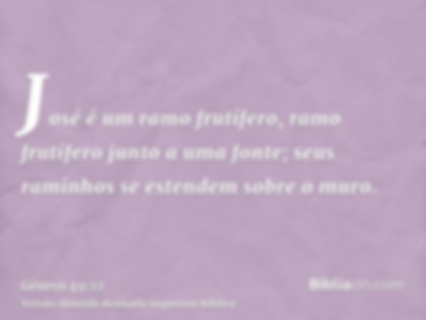 José é um ramo frutífero, ramo frutífero junto a uma fonte; seus raminhos se estendem sobre o muro.