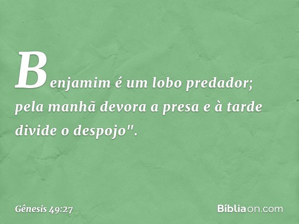 Benjamim é um lobo predador;
pela manhã devora a presa
e à tarde divide o despojo". -- Gênesis 49:27