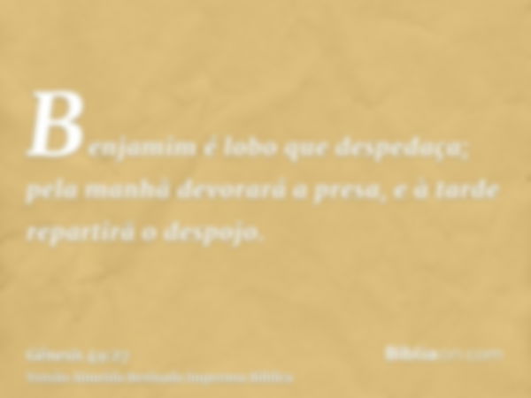 Benjamim é lobo que despedaça; pela manhã devorará a presa, e à tarde repartirã o despojo.