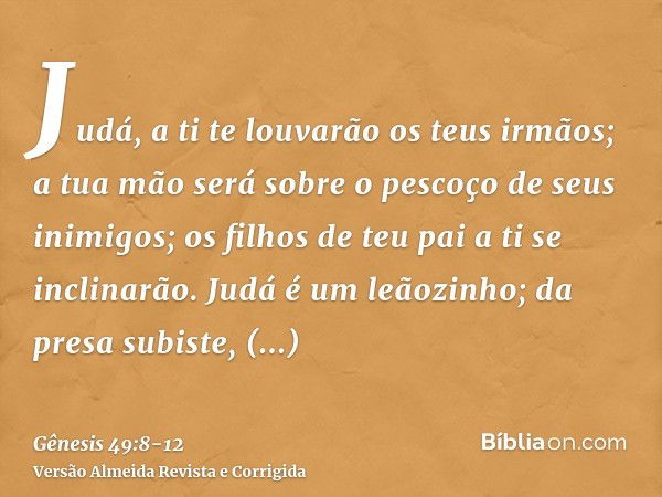 Judá, a ti te louvarão os teus irmãos; a tua mão será sobre o pescoço de seus inimigos; os filhos de teu pai a ti se inclinarão.Judá é um leãozinho; da presa su