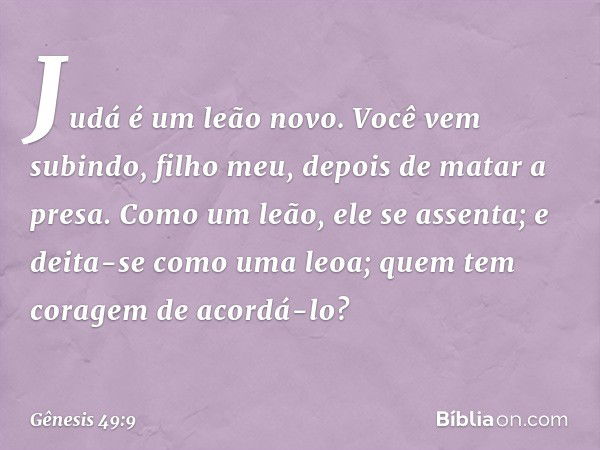 Judá é um leão novo.
Você vem subindo, filho meu,
depois de matar a presa.
Como um leão, ele se assenta;
e deita-se como uma leoa;
quem tem coragem de acordá-lo