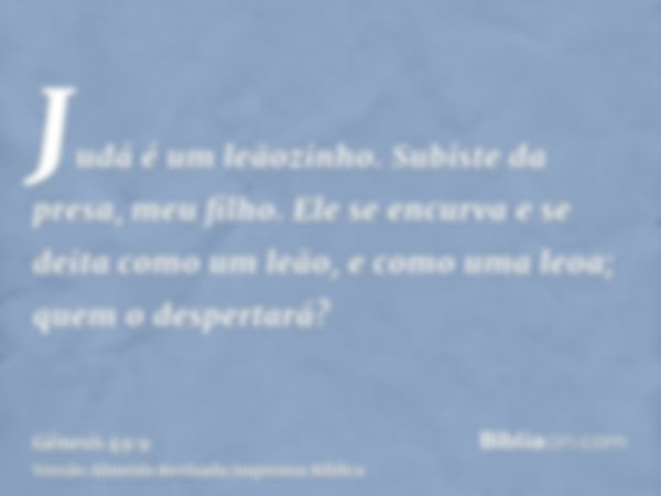 Judá é um leãozinho. Subiste da presa, meu filho. Ele se encurva e se deita como um leão, e como uma leoa; quem o despertará?