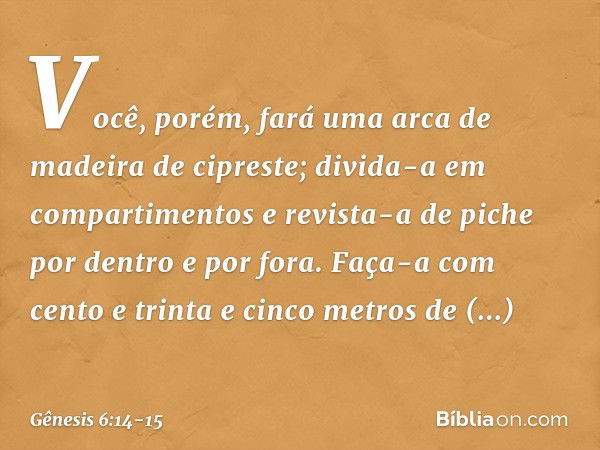 Você, porém, fará uma arca de madeira de cipreste; divida-a em compartimentos e revista-a de piche por dentro e por fora. Faça-a com cento e trinta e cinco metr