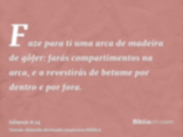 Faze para ti uma arca de madeira de gôfer: farás compartimentos na arca, e a revestirás de betume por dentro e por fora.