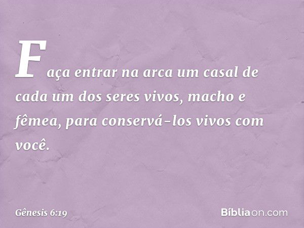 Faça entrar na arca um casal de cada um dos seres vivos, macho e fêmea, para conser­vá-los vivos com você. -- Gênesis 6:19