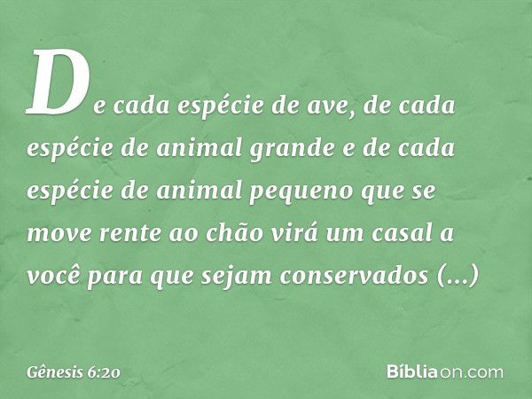 De cada espécie de ave, de cada espécie de animal grande e de cada espécie de animal pequeno que se move rente ao chão virá um casal a você para que sejam conse