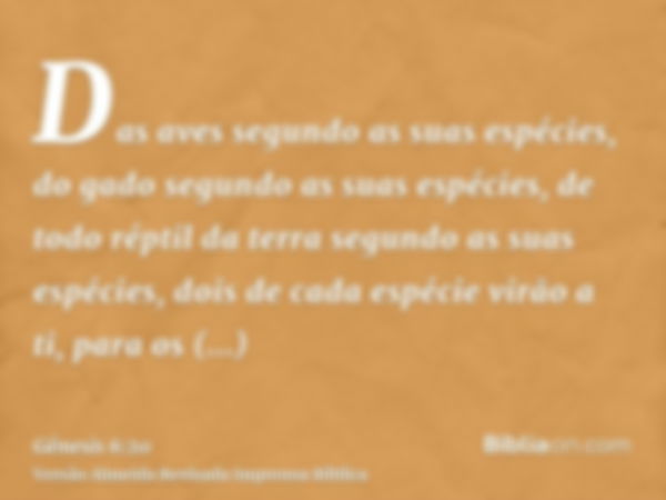 Das aves segundo as suas espécies, do gado segundo as suas espécies, de todo réptil da terra segundo as suas espécies, dois de cada espécie virão a ti, para os 