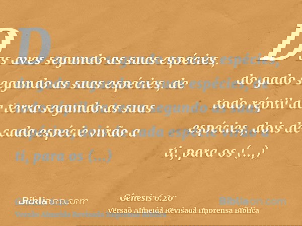 Das aves segundo as suas espécies, do gado segundo as suas espécies, de todo réptil da terra segundo as suas espécies, dois de cada espécie virão a ti, para os