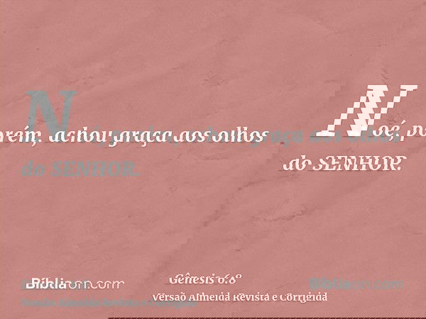 Noé, porém, achou graça aos olhos do SENHOR.