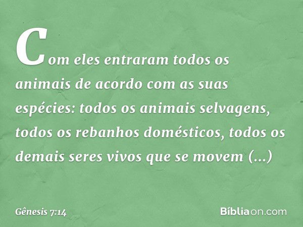 Com eles entraram todos os animais de acordo com as suas espécies: todos os animais selva­gens, todos os rebanhos domésticos, todos os demais seres vivos que se