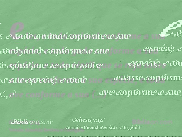 eles, e todo animal conforme a sua espécie, e todo gado conforme a sua espécie, e todo réptil que se roja sobre a terra conforme a sua espécie, e toda ave confo