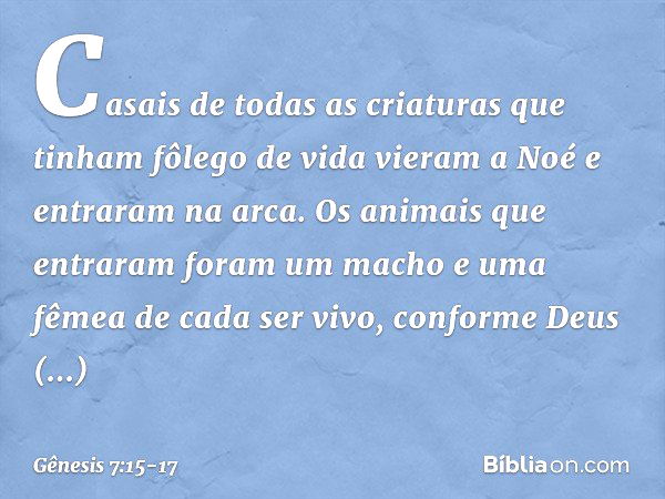 20 Perguntas Bíblicas sobre Noé, a Arca e o Dilúvio - Respostas Bíblicas