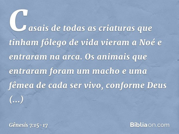 Casais de todas as criaturas que tinham fôlego de vida vieram a Noé e entraram na arca. Os animais que entraram foram um macho e uma fêmea de cada ser vivo, con