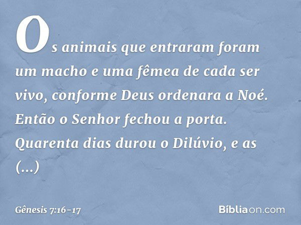 Os animais que entraram foram um macho e uma fêmea de cada ser vivo, conforme Deus ordenara a Noé. Então o Senhor fechou a porta. Quarenta dias durou o Dilúvio,