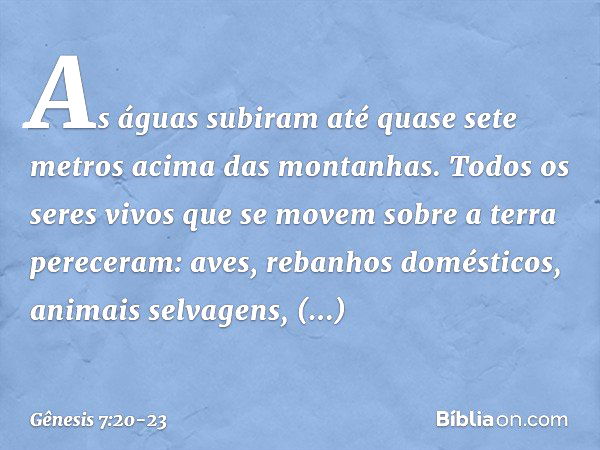 As águas su­biram até quase sete metros acima das montanhas. Todos os seres vivos que se movem so­bre a terra pereceram: aves, rebanhos domésti­cos, animais sel