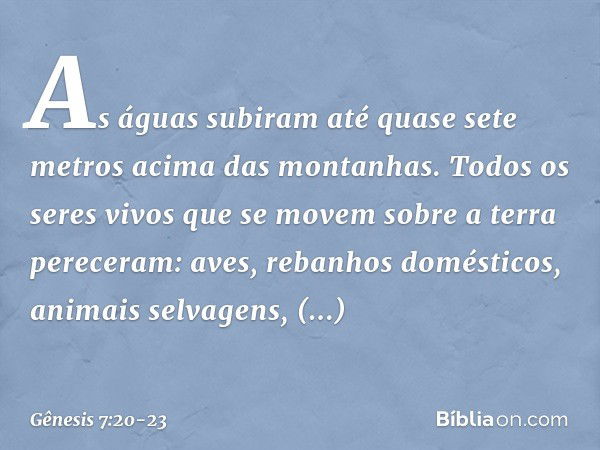 As águas su­biram até quase sete metros acima das montanhas. Todos os seres vivos que se movem so­bre a terra pereceram: aves, rebanhos domésti­cos, animais sel