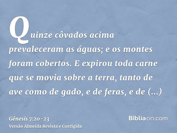 Quinze côvados acima prevaleceram as águas; e os montes foram cobertos.E expirou toda carne que se movia sobre a terra, tanto de ave como de gado, e de feras, e