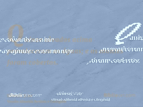 Quinze côvados acima prevaleceram as águas; e os montes foram cobertos.