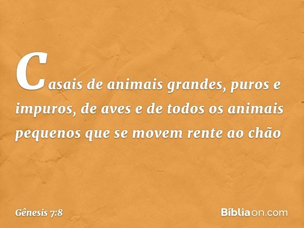 Casais de animais grandes, puros e impuros, de aves e de todos os animais pequenos que se movem rente ao chão -- Gênesis 7:8