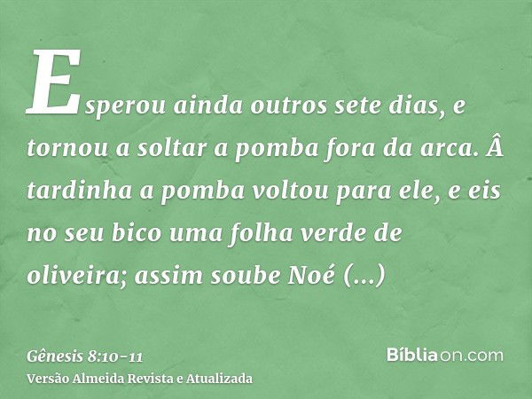 Esperou ainda outros sete dias, e tornou a soltar a pomba fora da arca.Â tardinha a pomba voltou para ele, e eis no seu bico uma folha verde de oliveira; assim 