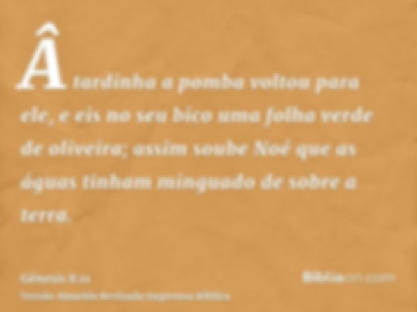 Â tardinha a pomba voltou para ele, e eis no seu bico uma folha verde de oliveira; assim soube Noé que as águas tinham minguado de sobre a terra.