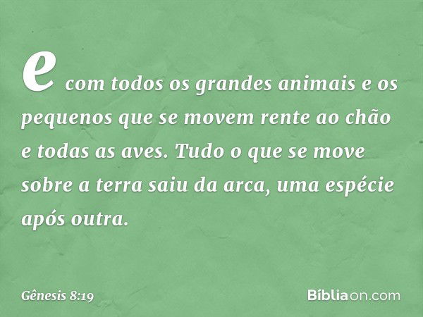 e com todos os grandes animais e os pequenos que se movem rente ao chão ­e todas as aves. Tudo o que se move sobre a terra saiu da arca, uma espécie após outra.