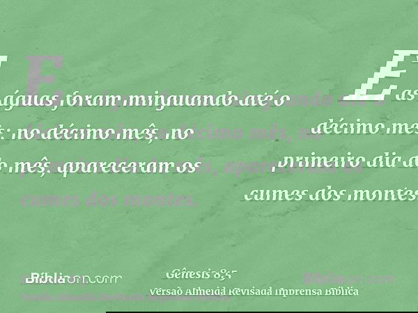 E as águas foram minguando até o décimo mês; no décimo mês, no primeiro dia do mês, apareceram os cumes dos montes.