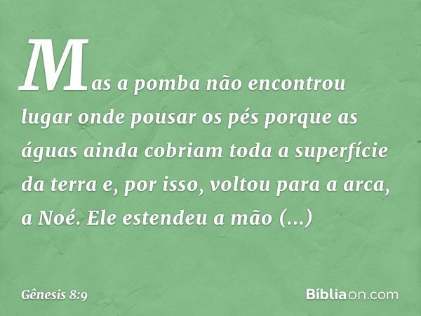 Mas a pomba não encontrou lugar onde pousar os pés porque as águas ainda cobriam toda a superfície da terra e, por isso, voltou para a arca, a Noé. Ele estendeu