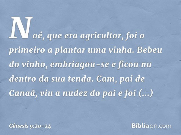 Noé, que era agricultor, foi o primeiro a plan­tar uma vinha. Be­beu do vinho, embriagou-se e ficou nu dentro da sua tenda. Cam, pai de Canaã, viu a nudez do pa