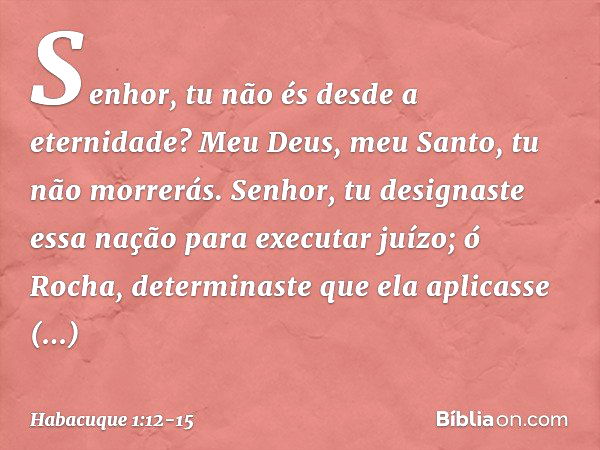 Senhor,
tu não és desde a eternidade?
Meu Deus, meu Santo,
tu não morrerás.
Senhor, tu designaste essa nação
para executar juízo;
ó Rocha, determinaste que ela
