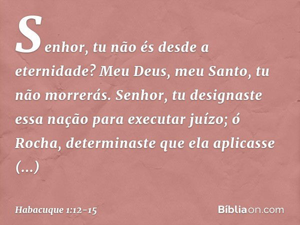 Senhor,
tu não és desde a eternidade?
Meu Deus, meu Santo,
tu não morrerás.
Senhor, tu designaste essa nação
para executar juízo;
ó Rocha, determinaste que ela
