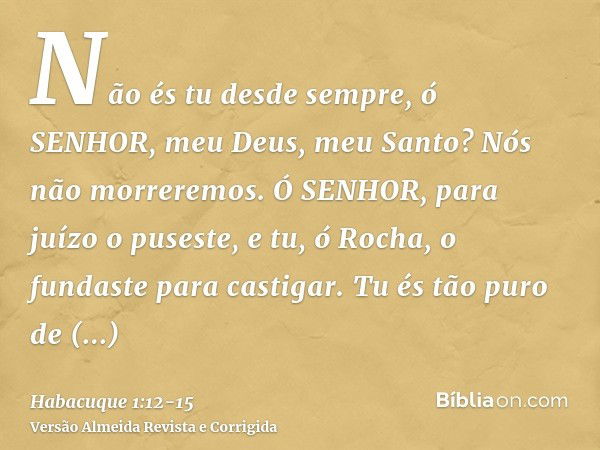 Não és tu desde sempre, ó SENHOR, meu Deus, meu Santo? Nós não morreremos. Ó SENHOR, para juízo o puseste, e tu, ó Rocha, o fundaste para castigar.Tu és tão pur