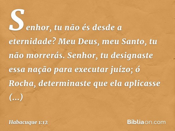 Senhor,
tu não és desde a eternidade?
Meu Deus, meu Santo,
tu não morrerás.
Senhor, tu designaste essa nação
para executar juízo;
ó Rocha, determinaste que ela
