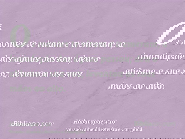 Os montes te viram e tremeram; a inundação das águas passou; deu o abismo a sua voz, levantou as suas mãos ao alto.