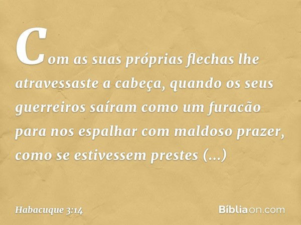 Com as suas próprias flechas
lhe atravessaste a cabeça,
quando os seus guerreiros saíram
como um furacão para nos espalhar
com maldoso prazer,
como se estivesse