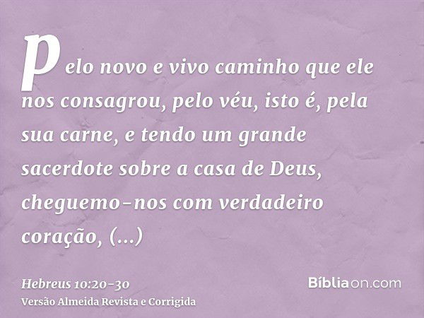 pelo novo e vivo caminho que ele nos consagrou, pelo véu, isto é, pela sua carne,e tendo um grande sacerdote sobre a casa de Deus,cheguemo-nos com verdadeiro co