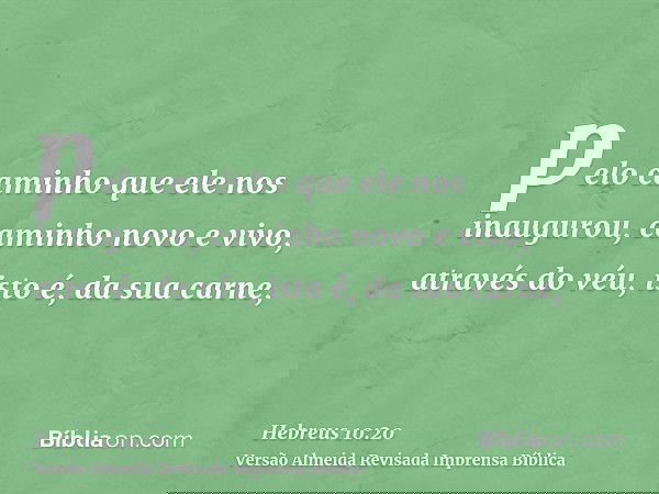 pelo caminho que ele nos inaugurou, caminho novo e vivo, através do véu, isto é, da sua carne,