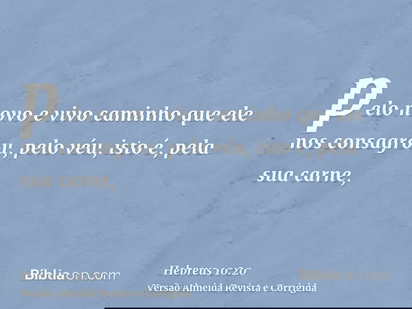 pelo novo e vivo caminho que ele nos consagrou, pelo véu, isto é, pela sua carne,