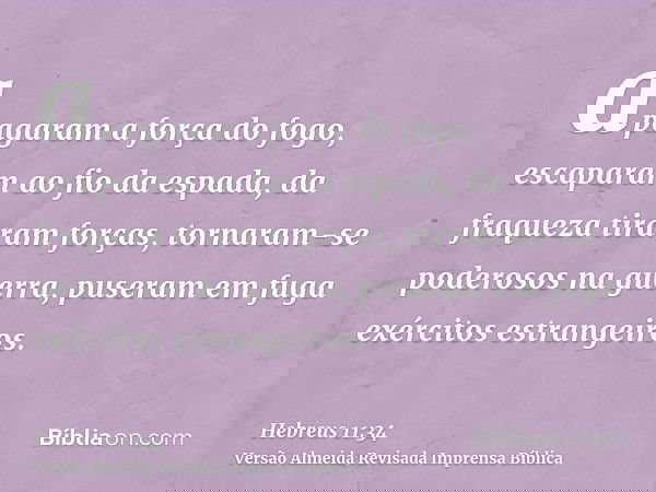 apagaram a força do fogo, escaparam ao fio da espada, da fraqueza tiraram forças, tornaram-se poderosos na guerra, puseram em fuga exércitos estrangeiros.