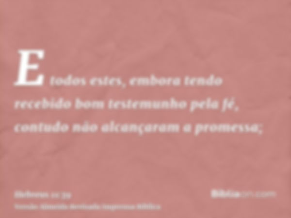 E todos estes, embora tendo recebido bom testemunho pela fé, contudo não alcançaram a promessa;