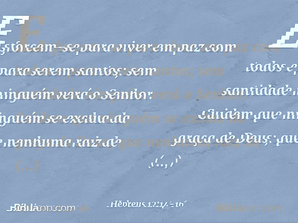 Esforcem-se para viver em paz com todos e para serem santos; sem santidade ninguém verá o Senhor. Cuidem que ninguém se exclua da graça de Deus; que nenhuma rai