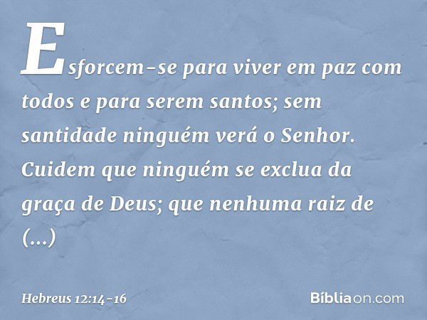 Esforcem-se para viver em paz com todos e para serem santos; sem santidade ninguém verá o Senhor. Cuidem que ninguém se exclua da graça de Deus; que nenhuma rai