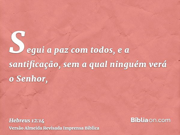Hebreus 12:14 (Sem santidade ninguém verá a Deus) - Bíblia