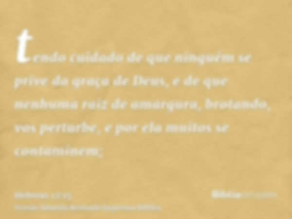 tendo cuidado de que ninguém se prive da graça de Deus, e de que nenhuma raiz de amargura, brotando, vos perturbe, e por ela muitos se contaminem;