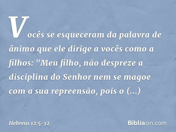 Vocês se esqueceram da palavra de ânimo que ele dirige a vocês como a filhos:
"Meu filho, não despreze
a disciplina do Senhor
nem se magoe
com a sua repreensão,