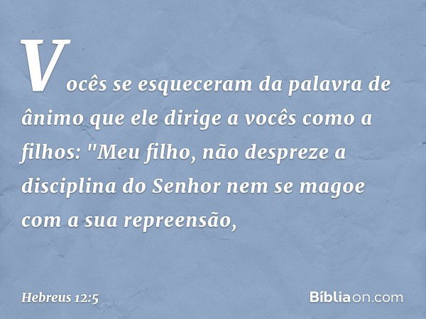 Vocês se esqueceram da palavra de ânimo que ele dirige a vocês como a filhos:
"Meu filho, não despreze
a disciplina do Senhor
nem se magoe
com a sua repreensão,