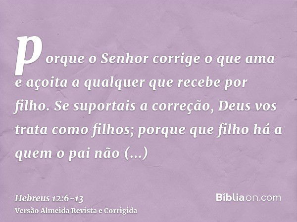 porque o Senhor corrige o que ama e açoita a qualquer que recebe por filho.Se suportais a correção, Deus vos trata como filhos; porque que filho há a quem o pai