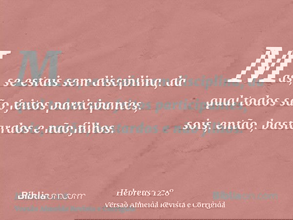 Mas, se estais sem disciplina, da qual todos são feitos participantes, sois, então, bastardos e não filhos.
