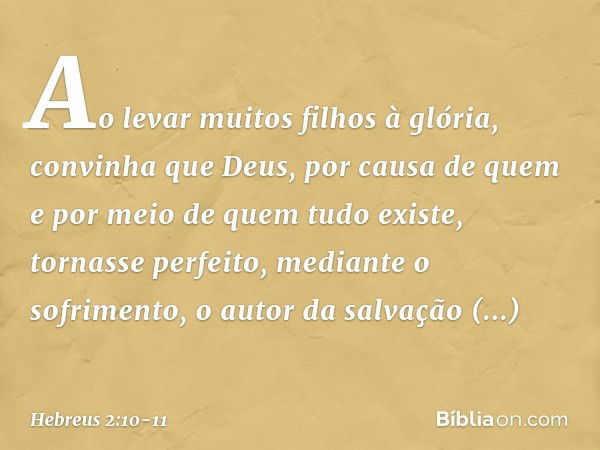 Ao levar muitos filhos à glória, convinha que Deus, por causa de quem e por meio de quem tudo existe, tornasse perfeito, mediante o sofrimento, o autor da salva